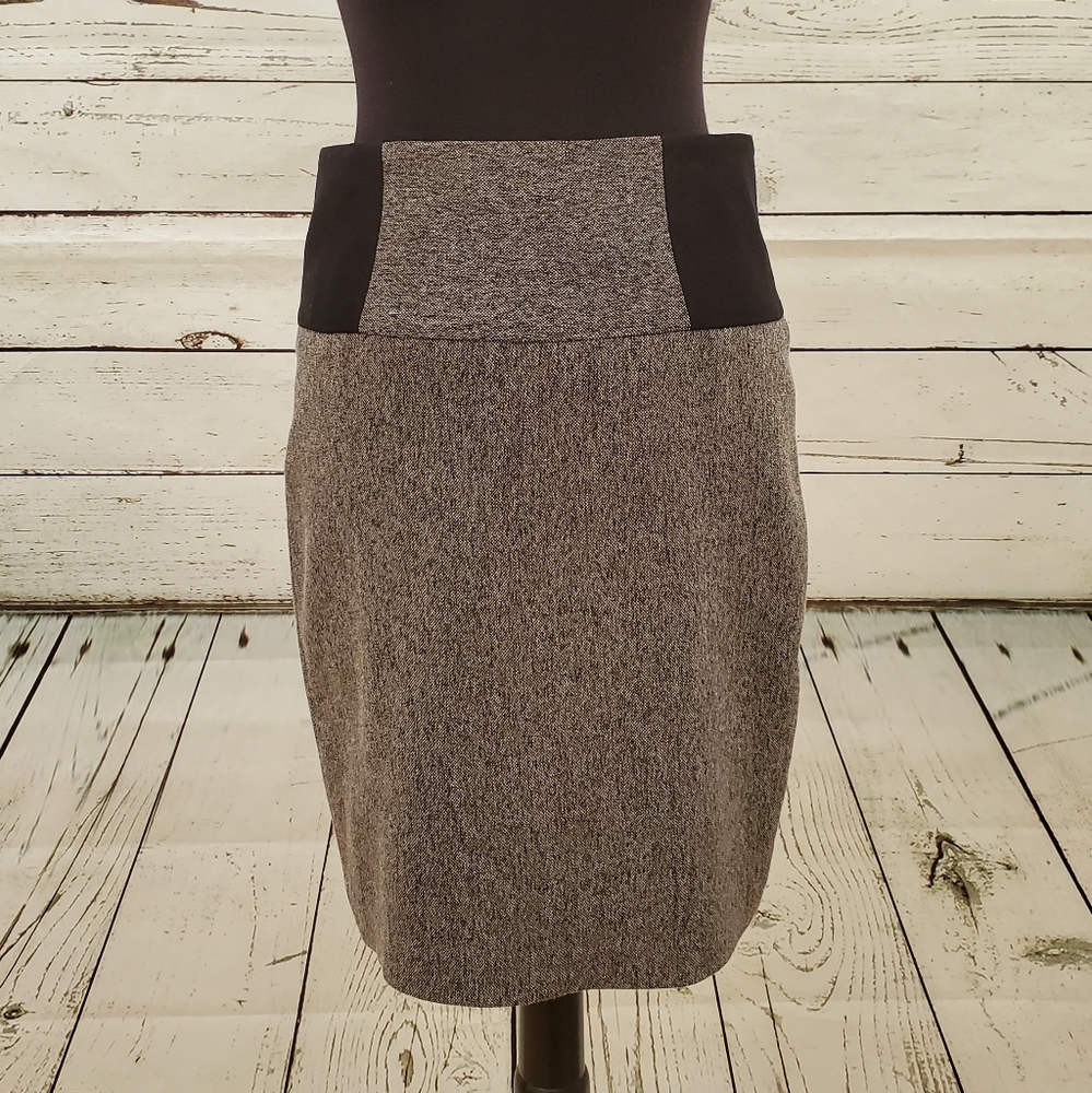 The Limited colorblock skirt